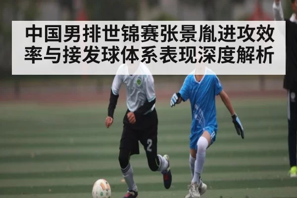 中国男排世锦赛张景胤进攻效率与接发球体系表现深度解析